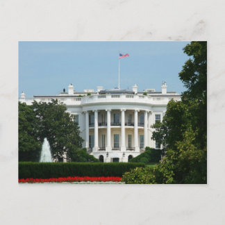 "White House" Postcard