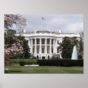 White House Poster