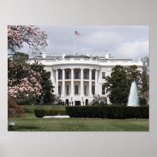 White House  Poster