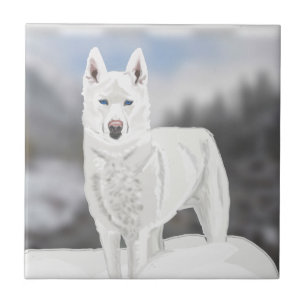 White Husky  Ceramic Tile