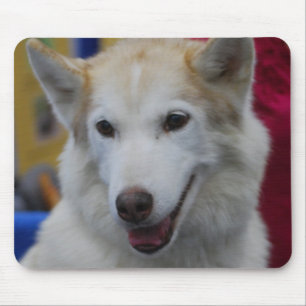 White Husky Mouse Pad