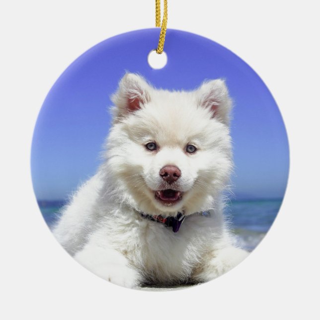 White Husky Puppy with Blue Eyes Ceramic Ornament (Front)