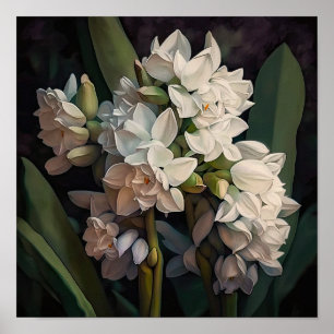 White Hyacinth Flower Art Print Poster
