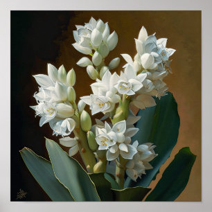 White Hyacinth Flower Art Print Poster