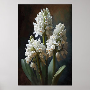 White Hyacinth Flower Art Print Poster