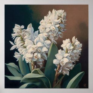 White Hyacinth Flower Art Print Poster