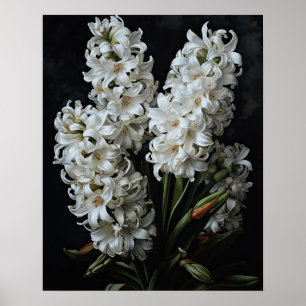 White Hyacinth Flowers Art Print Poster