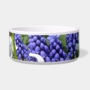 White Hyacinth N Purple Muscari (Pet ) Bowl