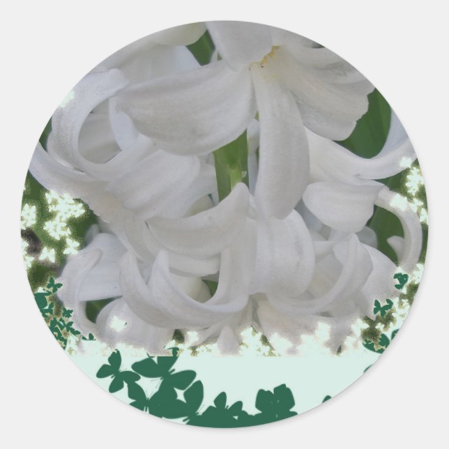 White Hyacinths Stickers (Front)