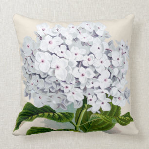 White Hydrangea Botanical Print Cushion