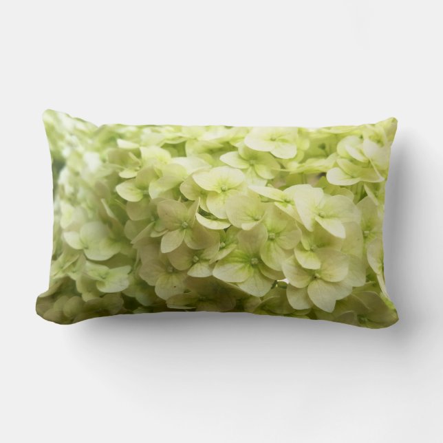 White Hydrangea flower background Lumbar Cushion (Front)