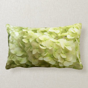 White Hydrangea flower background Lumbar Cushion