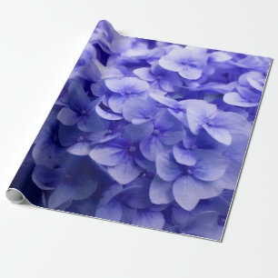 White Hydrangea flower background Wrapping Paper