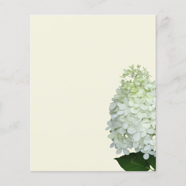White Hydrangea Flower Blank Ecru Paper (Front)