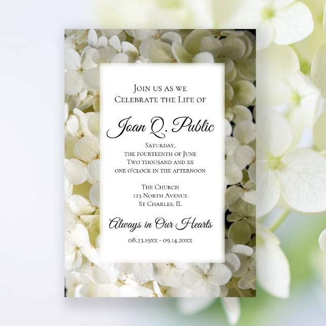 White Hydrangea Flowers Celebration of Life  Invitation (Creator Uploaded)