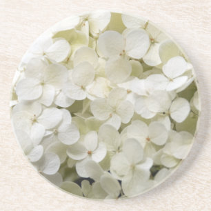 White Hydrangea Flowers Coaster