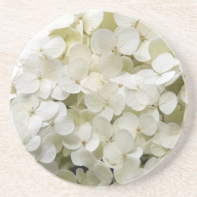 White Hydrangea Flowers Coaster (Front)