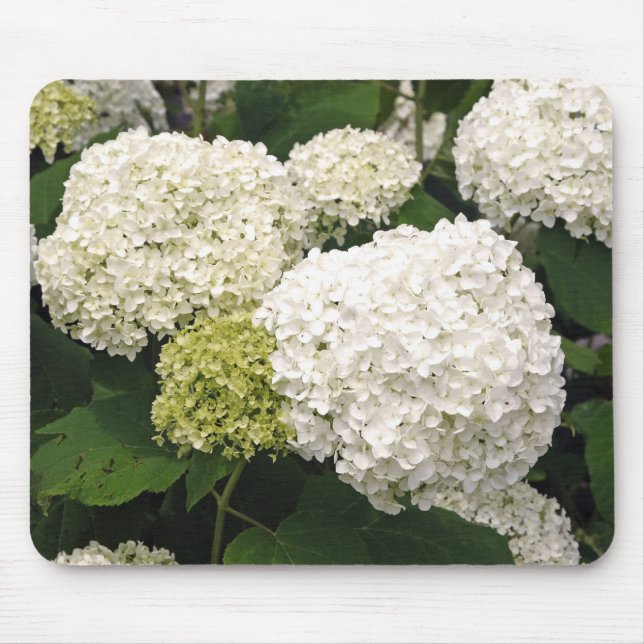 White Hydrangea Mouse Pad (Front)