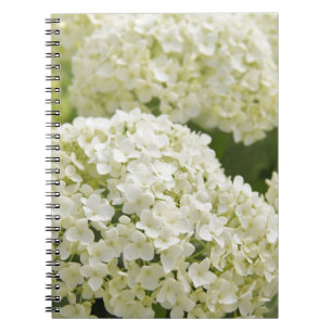 White Hydrangea Notebook