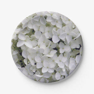 White Hydrangea Paper Plate