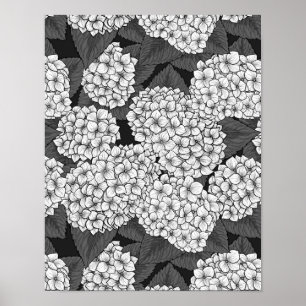 White hydrangea poster