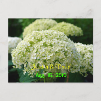 White Hydrangea Save The Date Postcard