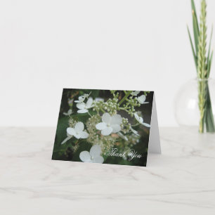 White Hydrangea Thank You Card