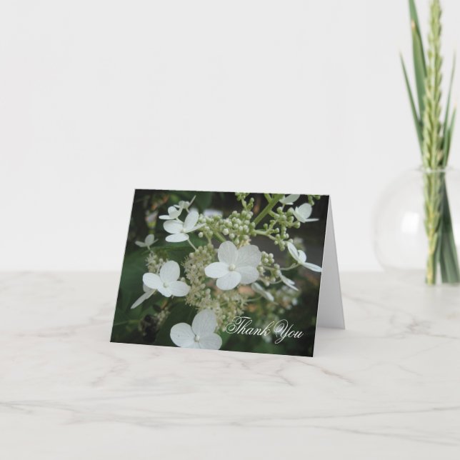 White Hydrangea Thank You Card (Front)