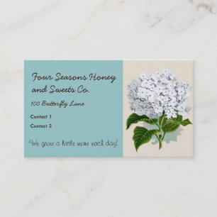White Hydrangea Vintage Botanicals Illustrations Business Card