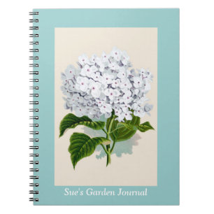 White Hydrangea Vintage Botanicals Illustrations Notebook