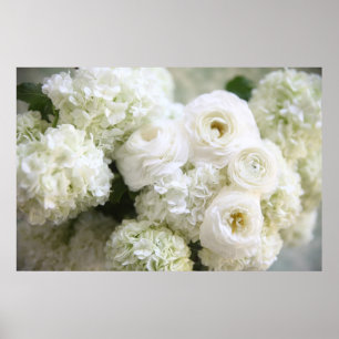 white hydrangeas and ranunculus poster