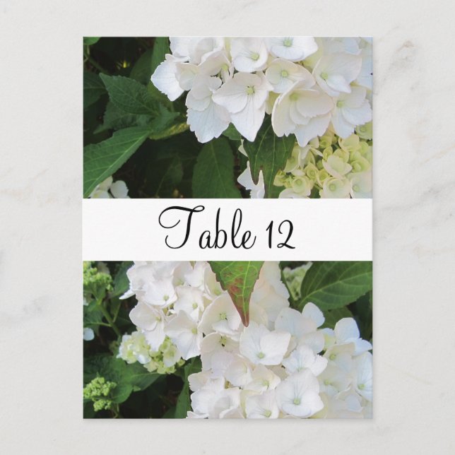 White Hydrangeas Table Seating Postcard (Front)