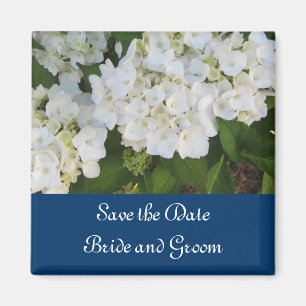 White Hydrangeas with Navy Border Magnet