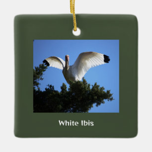 White Ibis Bird Ornament 