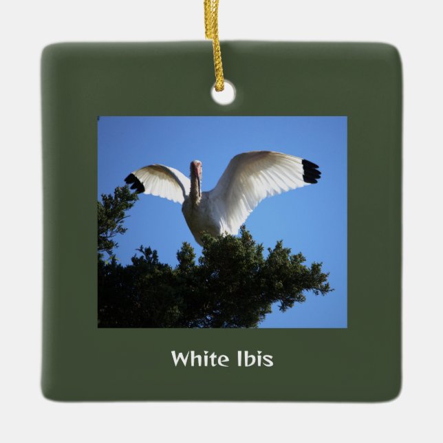 White Ibis Bird Ornament  (Front)