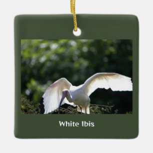 White Ibis Bird Ornament 