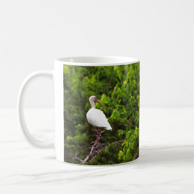 White Ibis Bird Photo Mug (Left)