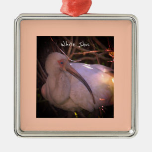 White Ibis Bird Photo Ornament 