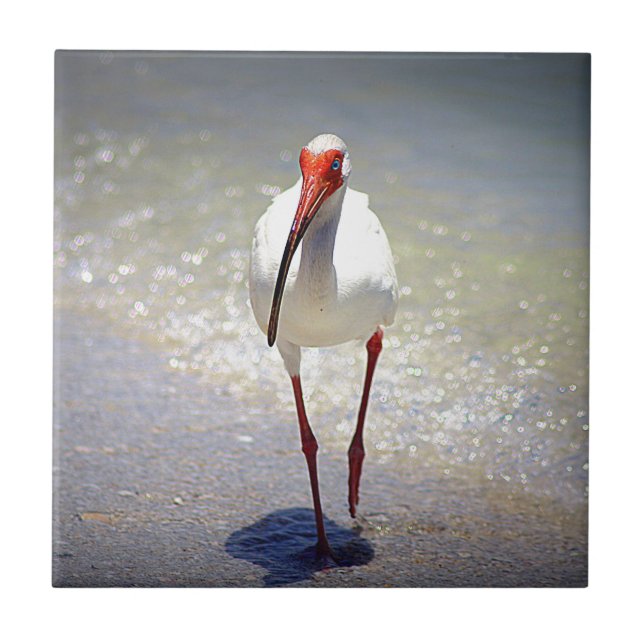 White Ibis Strut Tile (Front)