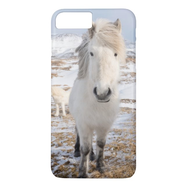 White Icelandic Horse, Iceland Case-Mate iPhone Case (Back)