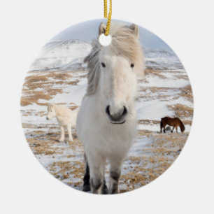 White Icelandic Horse, Iceland Ceramic Tree Decoration