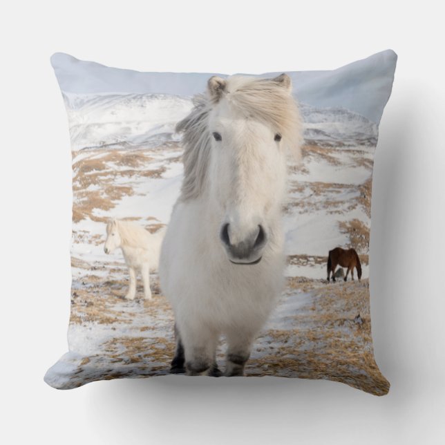 White Icelandic Horse, Iceland Cushion (Front)