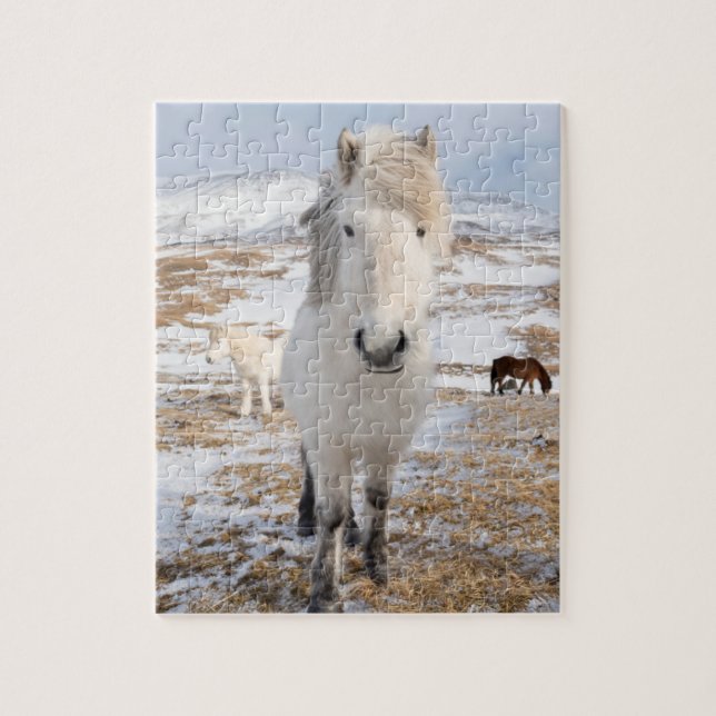 White Icelandic Horse, Iceland Jigsaw Puzzle (Vertical)