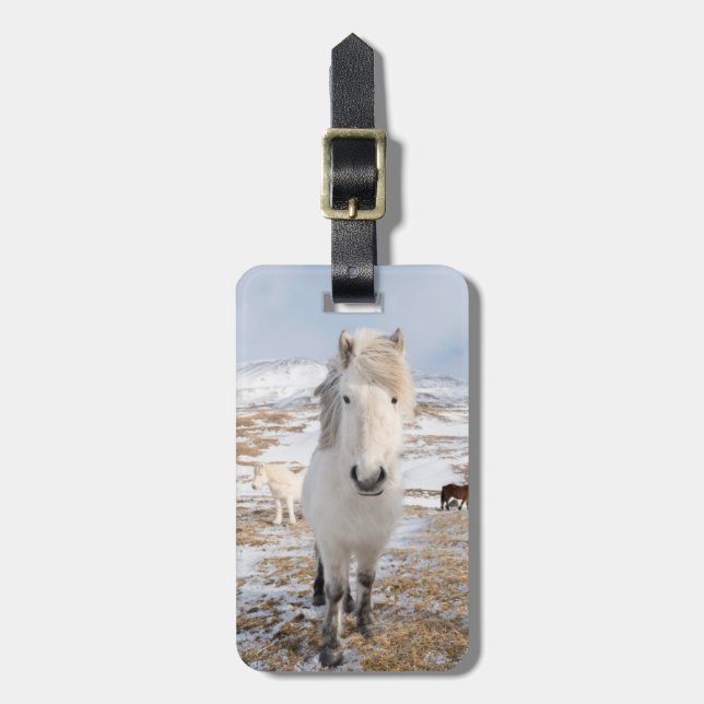 White Icelandic Horse, Iceland Luggage Tag (Front Vertical)