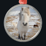 White Icelandic Horse, Iceland Metal Ornament<br><div class="desc">Icelandic Horse with typical winter coat. Traditional Icelandic breed traces its origin back to the horses of the Viking settlers during the middle ages. | Martin Zwick / DanitaDelimont.com</div>