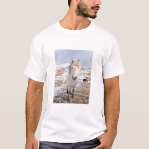 White Icelandic Horse, Iceland T-Shirt