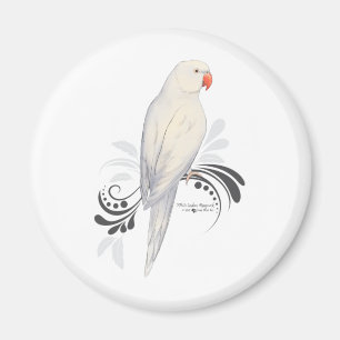 White Indian Ringneck Parrot Magnet