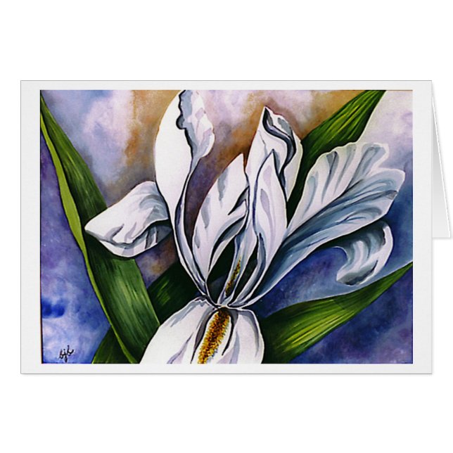 White Iris 2 by Barbara Beck-Azar (Front Horizontal)