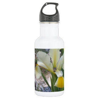 White Iris and Beetle 532 Ml Water Bottle