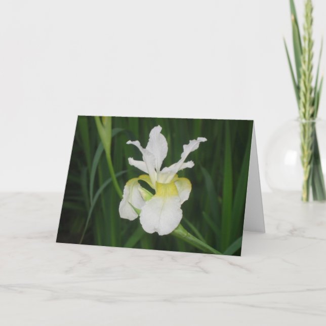 White iris card (Front)